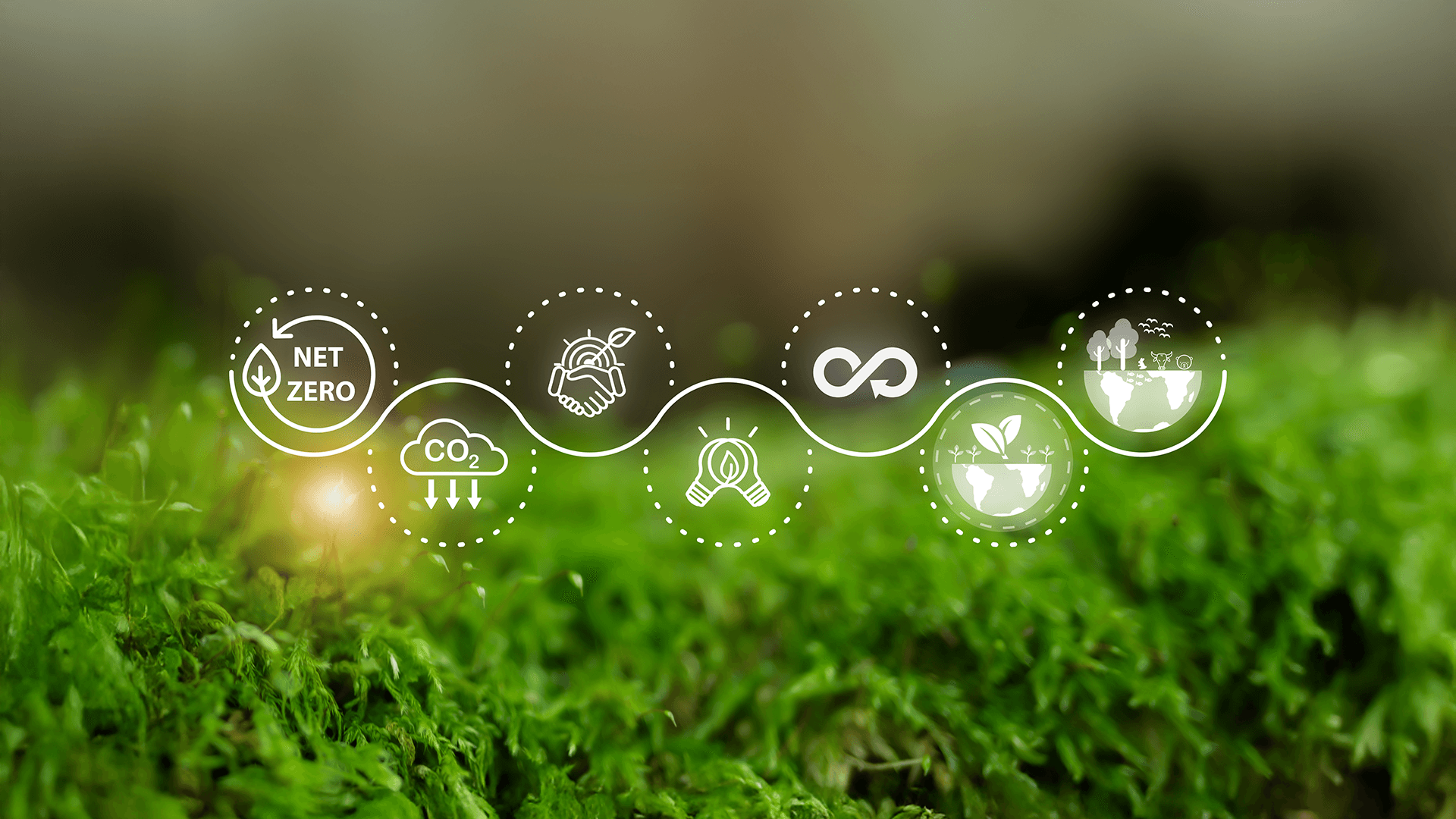 Building for tomorrow: Flipkart’s sustainability journey