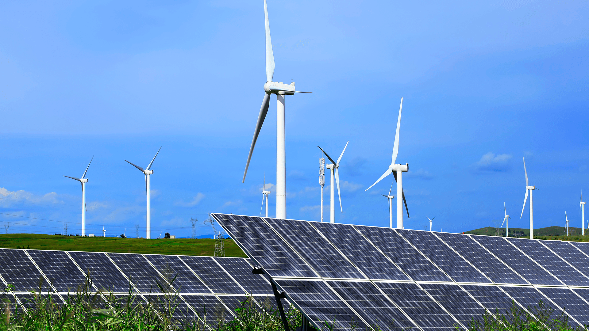 Committing to 100% Renewable Energy: Flipkart’s Green Supply Chain Milestones