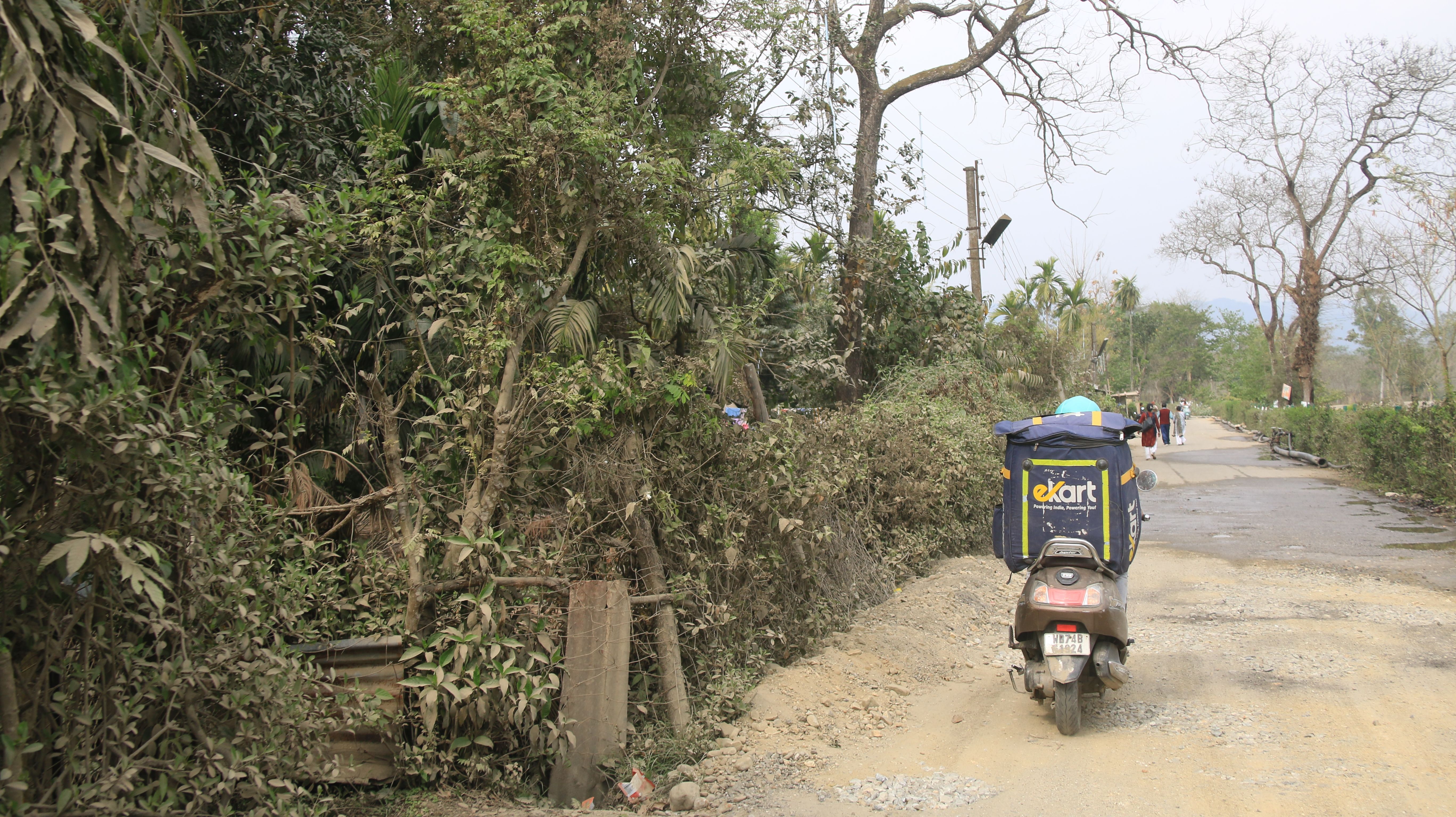 Picture 14_IMG_9763.JPG