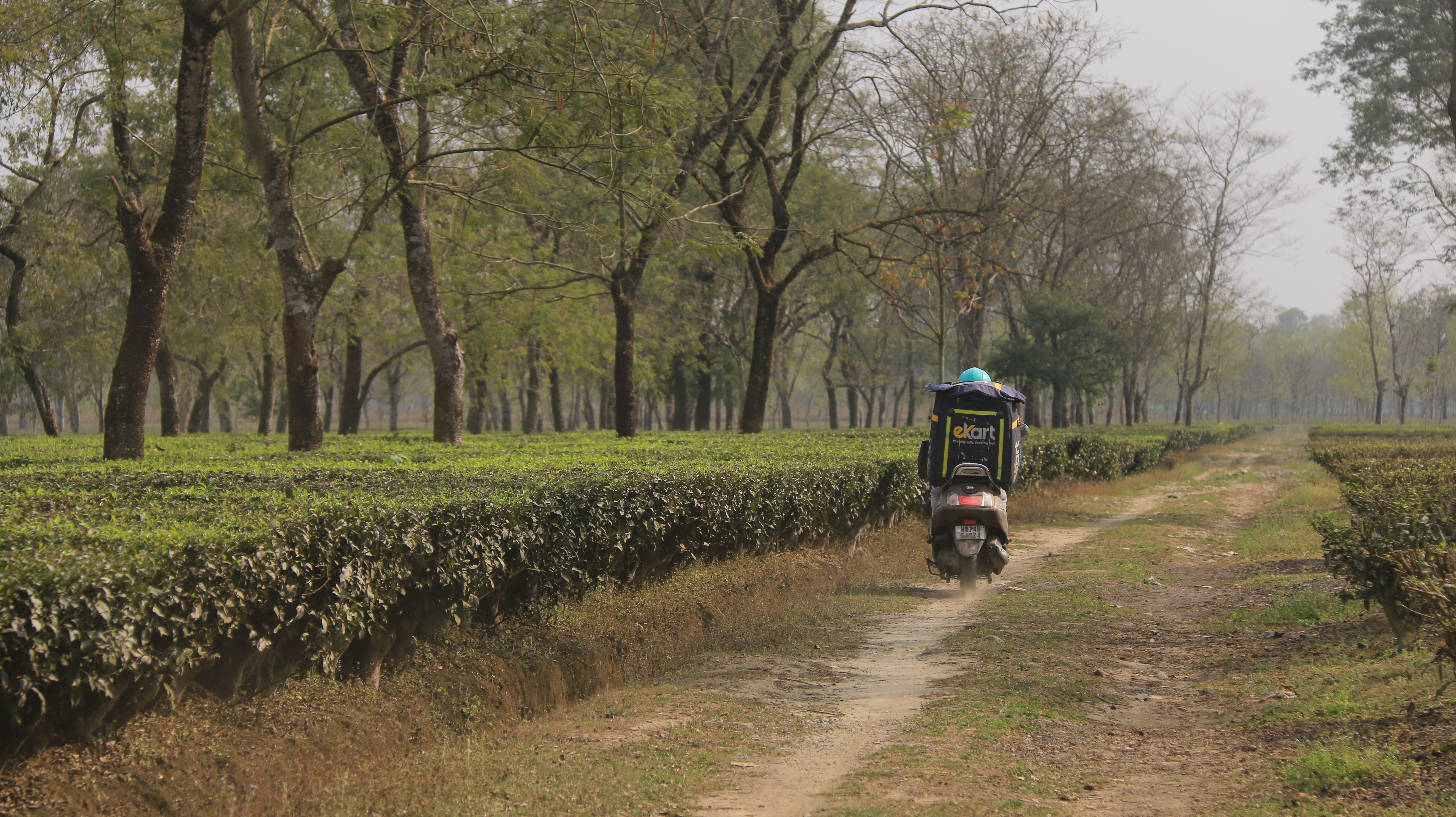 Picture 16_IMG_9778.JPG