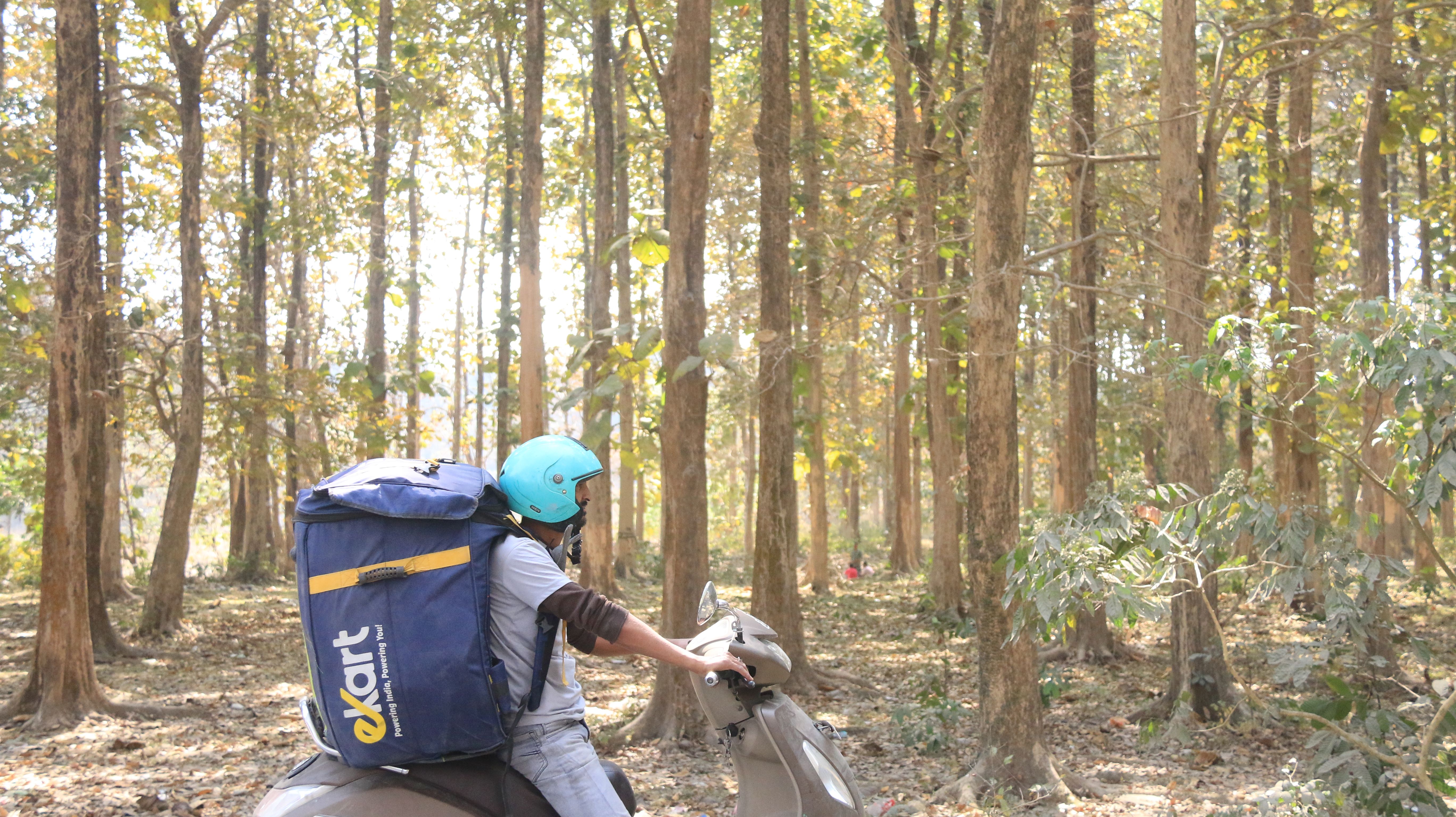 Picture 5_IMG_9664.JPG